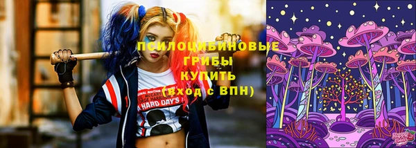 герыч Инта