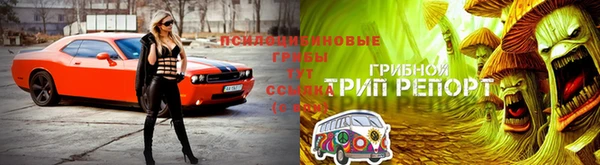 герыч Иннополис